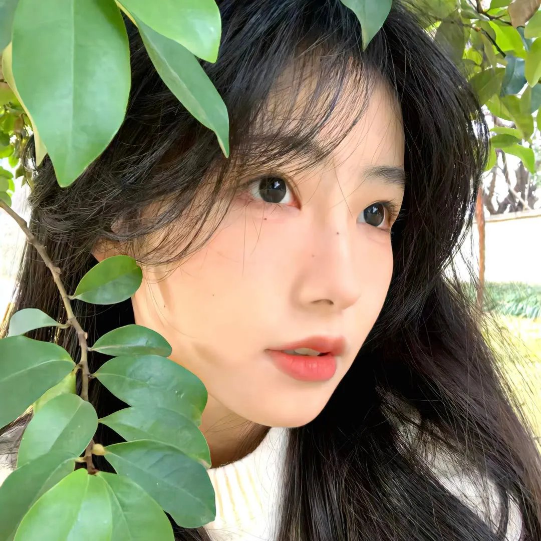 我在六扇门的日子
